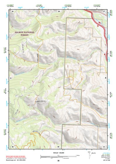 45113SW Page 38 Salmon Topo Preview 1