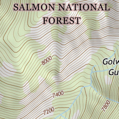 45113SW Page 43 Salmon Topo Preview 3