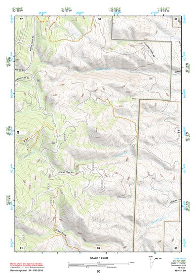 45113SW Page 50 Salmon Topo Preview 1