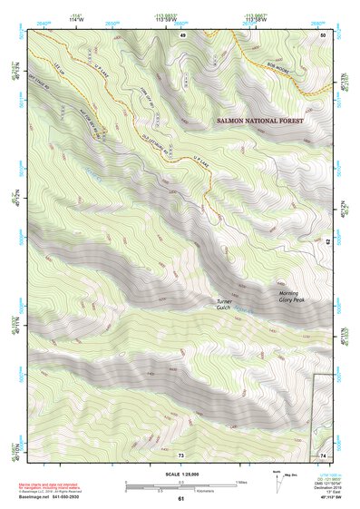 45113SW Page 61 Salmon Topo Preview 1