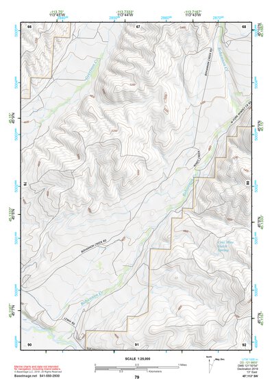 45113SW Page 79 Salmon Topo Preview 1