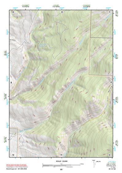 45113SW Page 81 Salmon Topo Preview 1