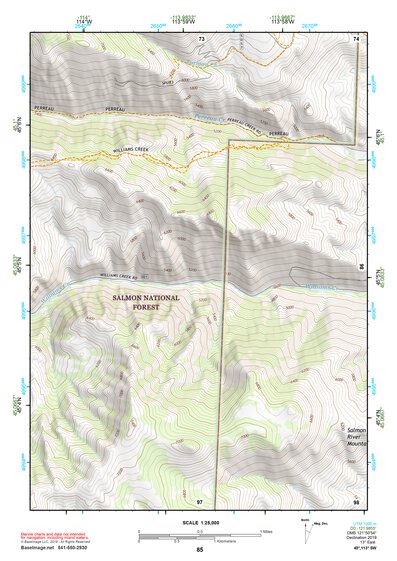 45113SW Page 85 Salmon Topo Preview 1