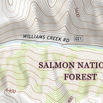 45113SW Page 85 Salmon Topo Preview 3