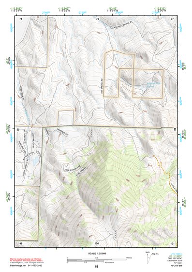 45113SW Page 88 Salmon Topo Preview 1