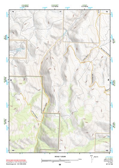 45113SW Page 89 Salmon Topo Preview 1