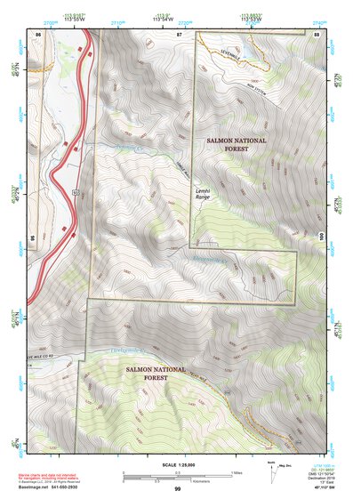 45113SW Page 99 Salmon Topo Preview 1