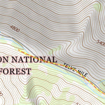 45113SW Page 99 Salmon Topo Preview 3