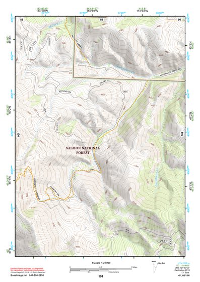 45113SW Page 101 Salmon Topo Preview 1