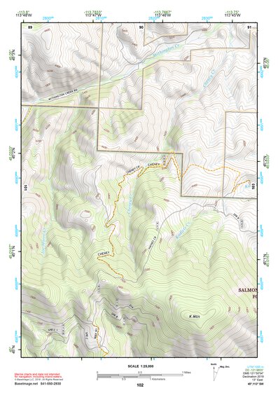 45113SW Page 102 Salmon Topo Preview 1