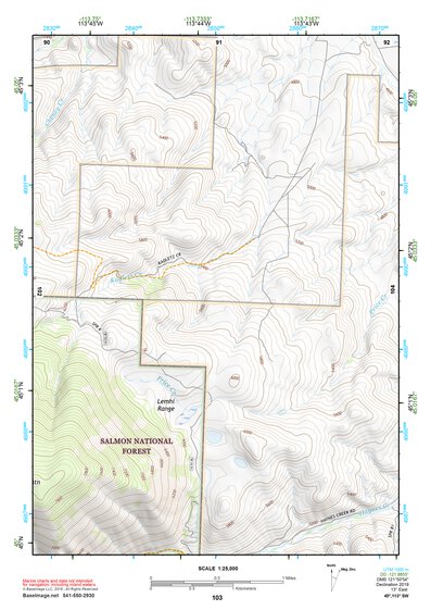 45113SW Page 103 Salmon Topo Preview 1