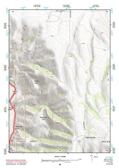 45116NE Page 30 Grangeville Topo Preview 1