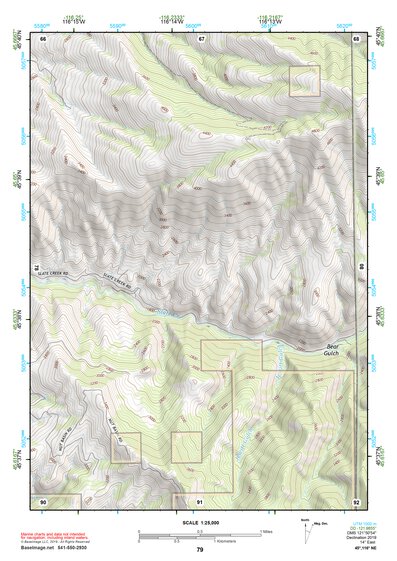 45116NE Page 79 Grangeville Topo Preview 1