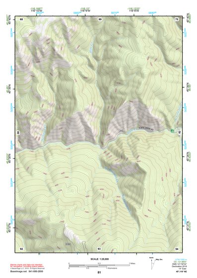 45116NE Page 81 Grangeville Topo Preview 1