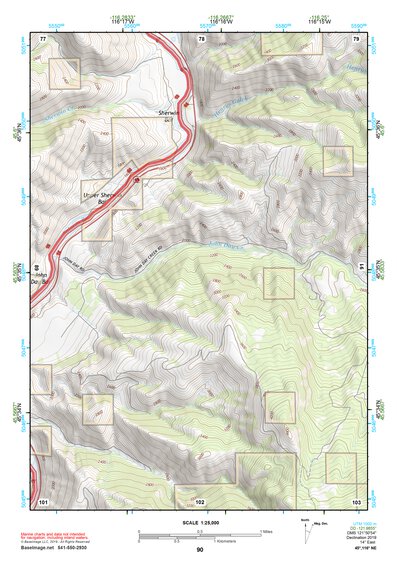 45116NE Page 90 Grangeville Topo Preview 1