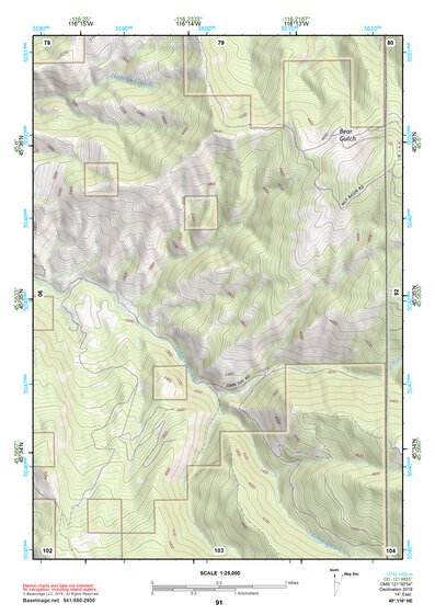 45116NE Page 91 Grangeville Topo Preview 1