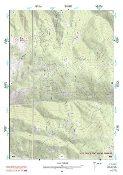 45116NE Page 92 Grangeville Topo Preview 1