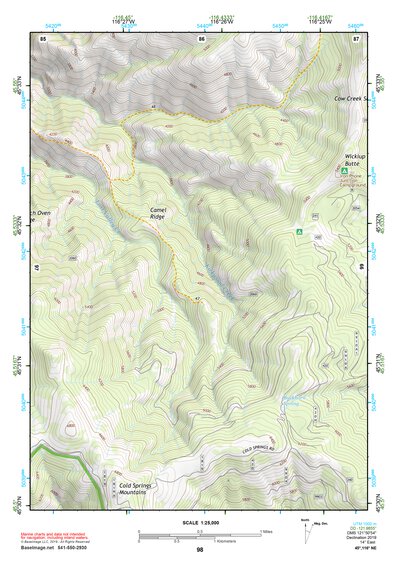 45116NE Page 98 Grangeville Topo Preview 1