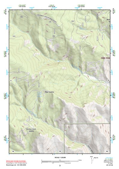 45116SE Page 3 Riggins Topo Preview 1