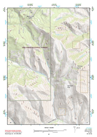 45116SE Page 4 Riggins Topo Preview 1