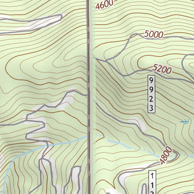 45116SE Page 6 Riggins Topo Preview 2