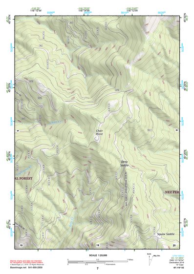 45116SE Page 7 Riggins Topo Preview 1