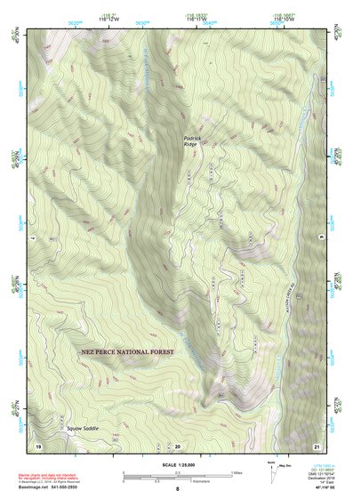45116SE Page 8 Riggins Topo Preview 1
