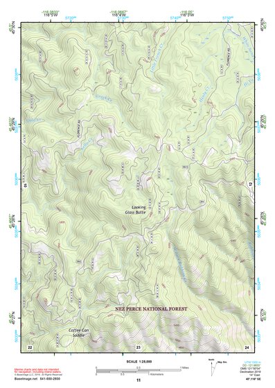 45116SE Page 11 Riggins Topo Preview 1