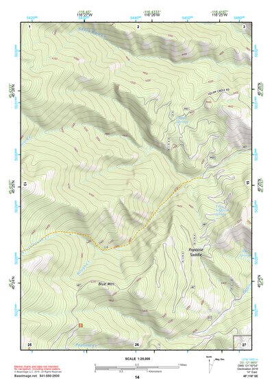45116SE Page 14 Riggins Topo Preview 1