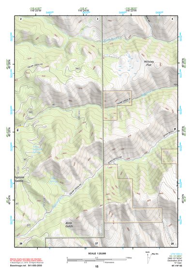 45116SE Page 15 Riggins Topo Preview 1