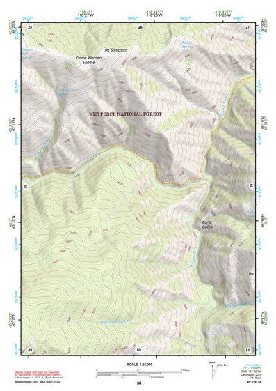 45116SE Page 38 Riggins Topo Preview 1