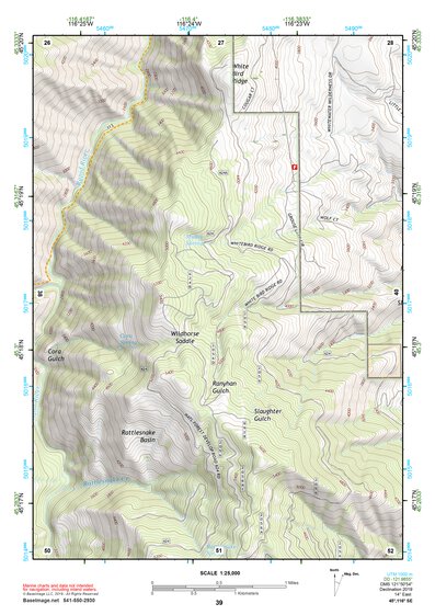 45116SE Page 39 Riggins Topo Preview 1