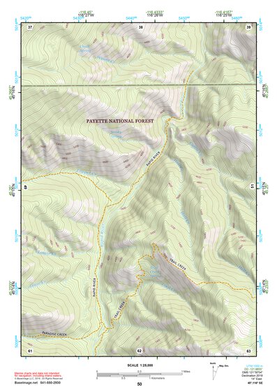 45116SE Page 50 Riggins Topo Preview 1