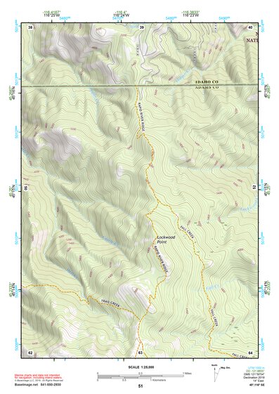 45116SE Page 51 Riggins Topo Preview 1