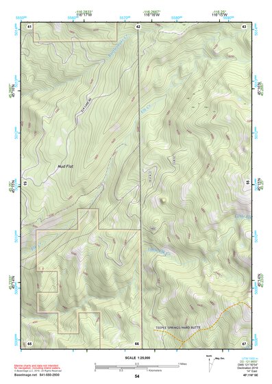 45116SE Page 54 Riggins Topo Preview 1