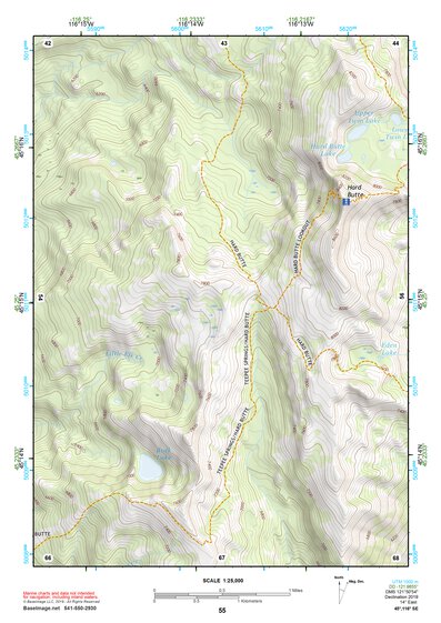 45116SE Page 55 Riggins Topo Preview 1