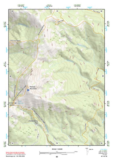 45116SE Page 63 Riggins Topo Preview 1