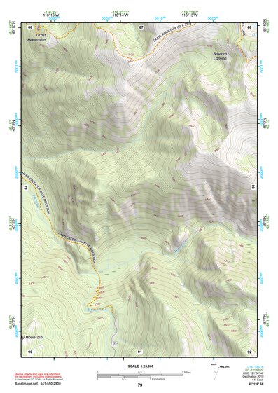 45116SE Page 79 Riggins Topo Preview 1