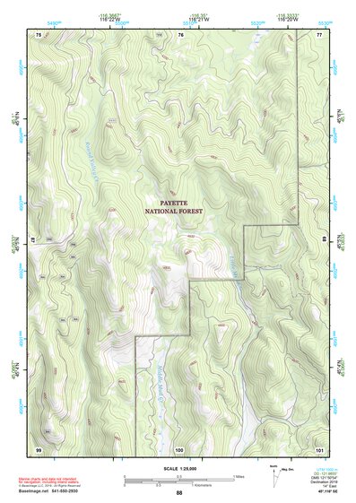45116SE Page 88 Riggins Topo Preview 1