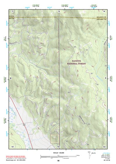 45116SE Page 90 Riggins Topo Preview 1