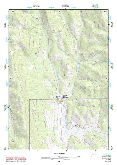 45116SE Page 98 Riggins Topo Preview 1