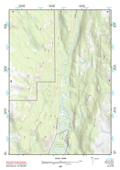 45116SE Page 107 Riggins Topo Preview 1