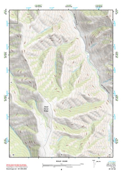45116SW Page 4 Riggins Topo Preview 1
