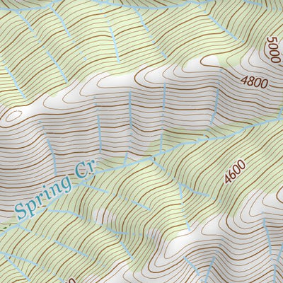 45116SW Page 6 Riggins Topo Preview 3