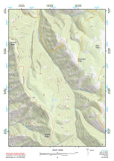 45116SW Page 7 Riggins Topo Preview 1