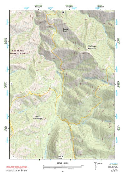 45116SW Page 24 Riggins Topo Preview 1