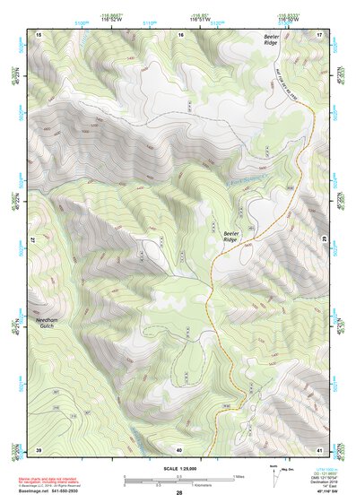 45116SW Page 28 Riggins Topo Preview 1