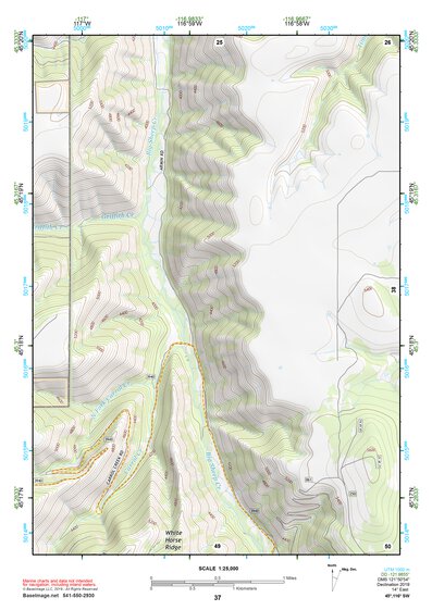 45116SW Page 37 Riggins Topo Preview 1