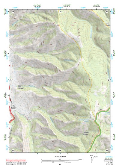 45116SW Page 42 Riggins Topo Preview 1