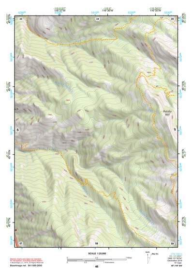 45116SW Page 46 Riggins Topo Preview 1